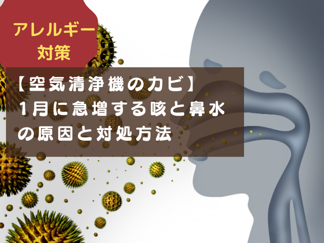 【空気清浄機のカビ】1月に急増する咳と鼻水の原因と対処方法